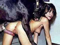 Crazy animal sex with dog